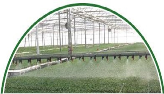 Greenhouse-3