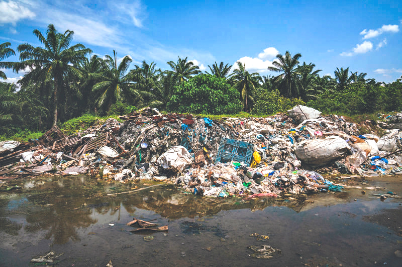 Waste Management Services